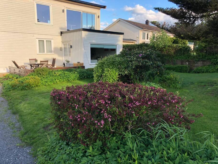 Lys Og Trivelig Leilighet I Larvik Exterior foto